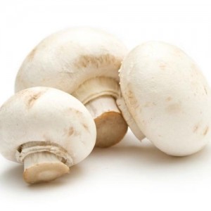 White champignon mushrooms