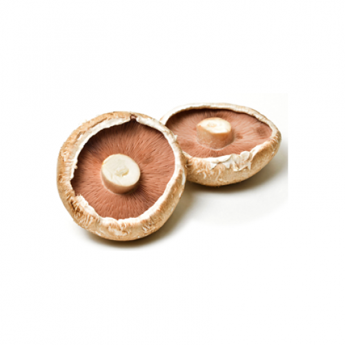 ΒΙΟ Μανιτάρια porto bello