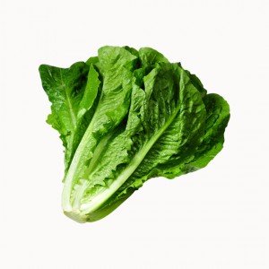 ΒΙΟ Μαρούλι