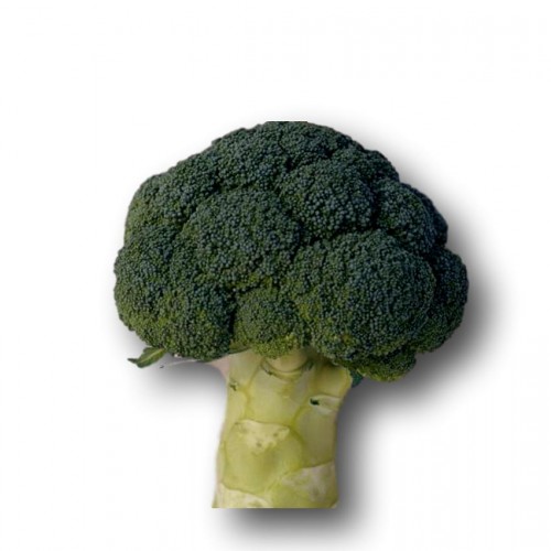 ΒΙΟ Μπρόκολο