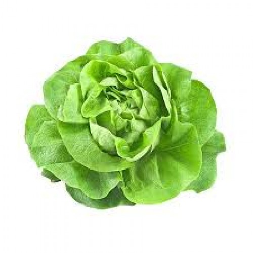 ΒΙΟ Σαλάτα Γαλλική