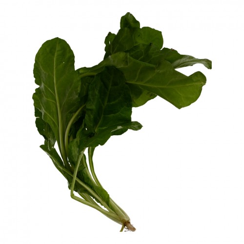 ΒΙΟ Σέσκουλο