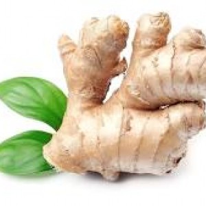 ΒΙΟ Τζίντζερ