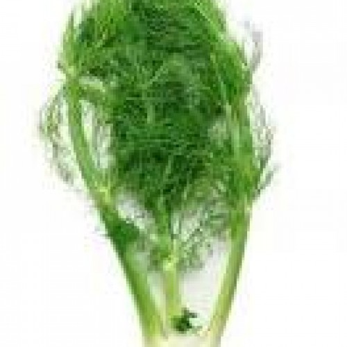 ΒΙΟ Μάραθος