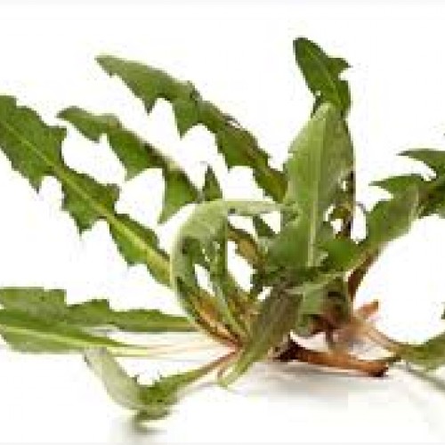 ΒΙΟ Ραδίκια Πικρά 