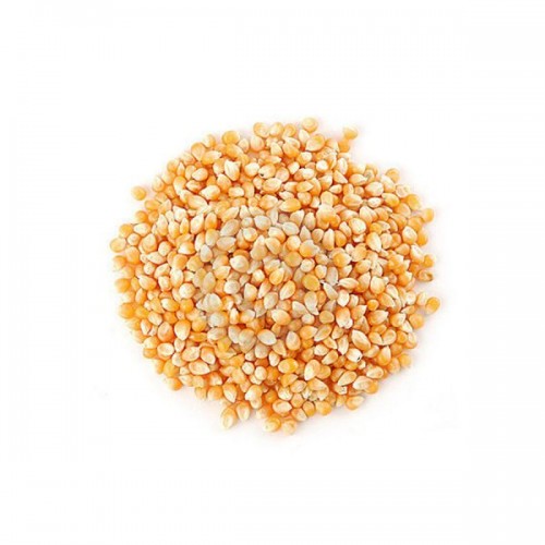 Καλαμπόκι για Ποπ Κορν